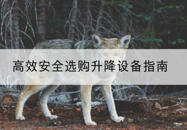 临翔升降货梯厂家推荐-*安全选购升降设备指南