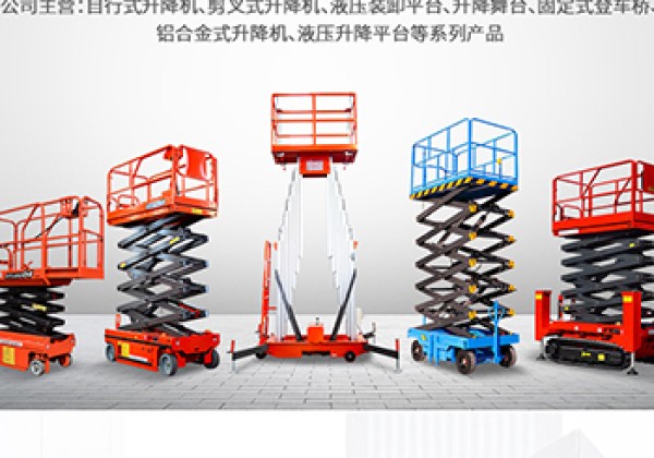 临翔​出口成为核心增长引擎