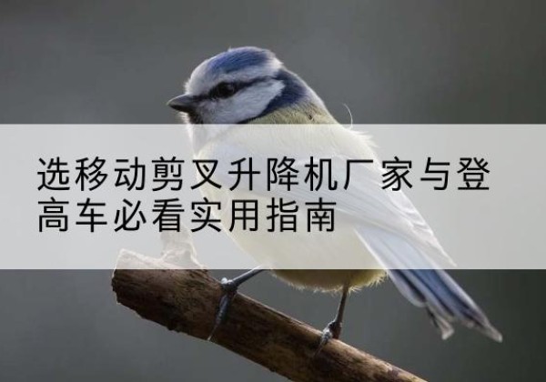 临翔电动升降机厂家-选移动剪叉升降机厂家与登高车必看实用指南